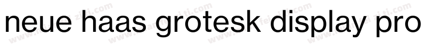 neue haas grotesk display pro 45 Li字体转换